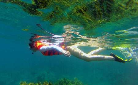 Tour Lặn Ngắm San Hô Sơn Trà 1 Ngày