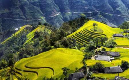 Du Lịch Hà Giang - Hoàng Su Phì -Xín Mần Bắc Hà 3 Ngày