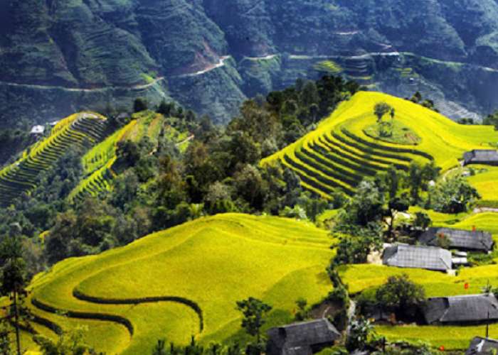 Du Lịch Hà Giang - Hoàng Su Phì -Xín Mần Bắc Hà 3 Ngày