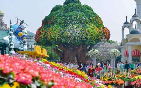 Tour Hàn Quốc 5 Ngày 4 Đêm Mùa Lá Đỏ (Bay OZ)