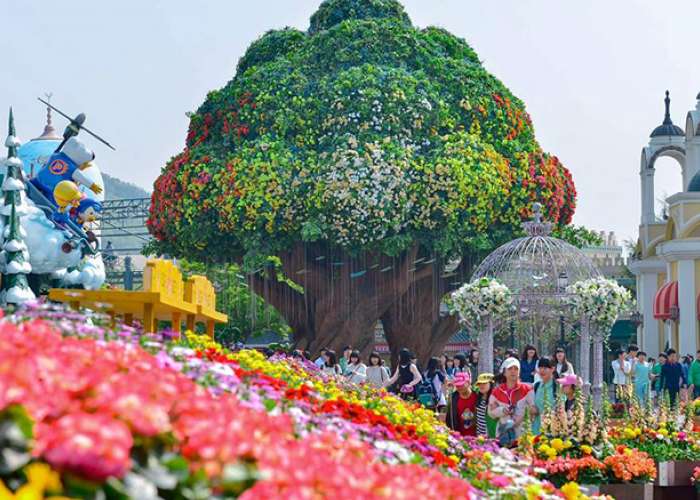 Tour Hàn Quốc 5 Ngày 4 Đêm Mùa Lá Đỏ (Bay OZ)