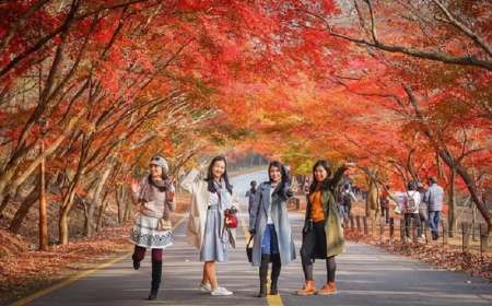 Tour Du Lịch Hà Nội – Seoul – Nami – Everland 5 Ngày 4 Đêm Mùa Lá Đỏ (Bay Vietjet Air)