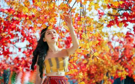 Tour Du Lịch Hàn Quốc Mùa Lá Đỏ 6 ngày 5 Đêm Miễn Thị Thực Từ Hà Nội