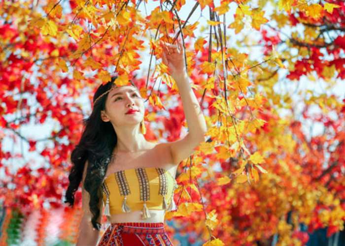 Tour Du Lịch Hàn Quốc Mùa Lá Đỏ 6 ngày 5 Đêm Miễn Thị Thực Từ Hà Nội