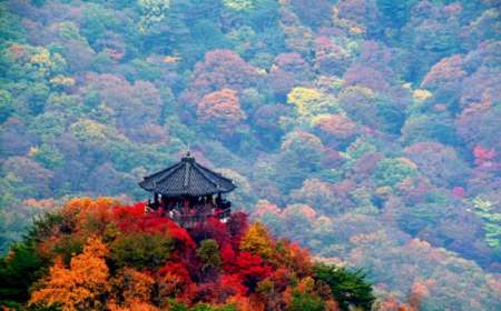 Du Lịch Hàn Quốc Mùa Thu Seoul – Nami- Everland 5 Ngày (Korean Air)