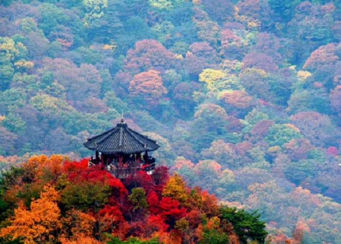 Du Lịch Hàn Quốc Mùa Thu Seoul – Nami- Everland 5 Ngày (Korean Air)