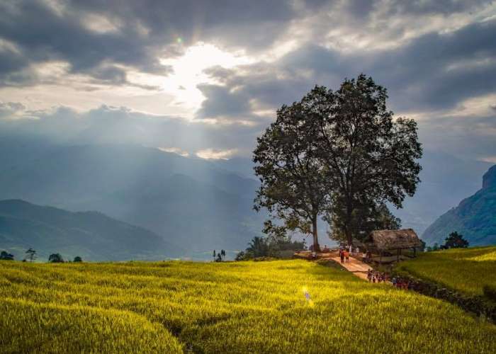 Tour Du Lịch Y Tý 2 Ngày 1 Đêm