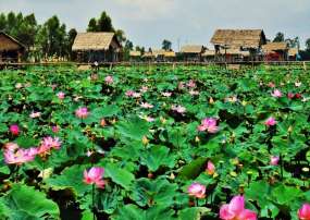 Tour Cần Thơ - Đồng Tháp - Châu Đốc 4 Ngày 3 Đêm Hè
