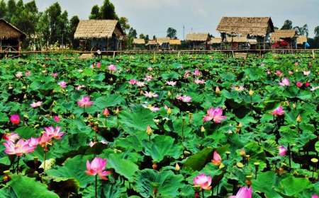 Tour Cần Thơ - Đồng Tháp - Châu Đốc 4 Ngày 3 Đêm Hè