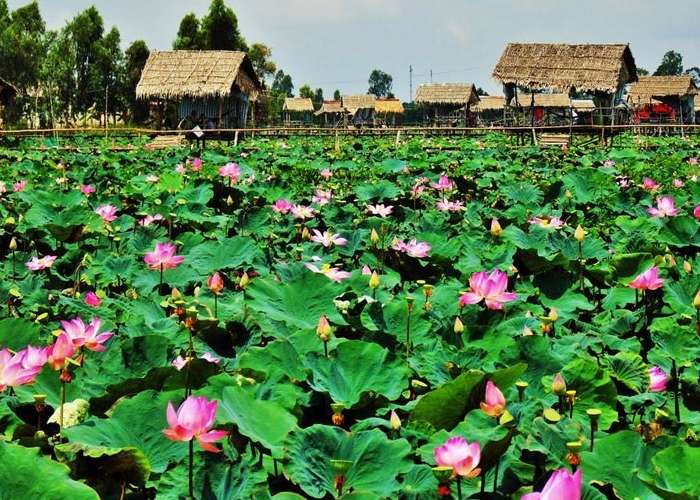 Tour Cần Thơ - Đồng Tháp - Châu Đốc 4 Ngày 3 Đêm Hè