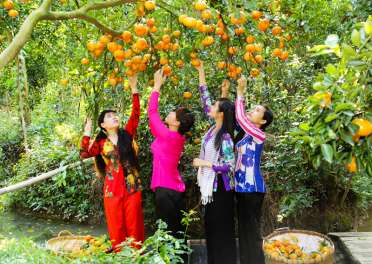 Tour Hà Nội - Cần Thơ - Cao Lãnh - Châu Đốc - An Giang 4 Ngày 3 Đêm (bay VietnamAirlines)