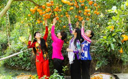 Tour Hà Nội - Cần Thơ - Cao Lãnh - Châu Đốc - An Giang 4 Ngày 3 Đêm (bay VietnamAirlines)