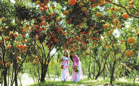 Tour Du Lịch Miền Tây 5 Ngày 4 Đêm Từ Hà Nội (Bay Vietnam Airlines)