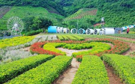 Du Lịch Mộc Châu 2 Ngày 1 Đêm Từ Hà Nội/ Hải Phòng (Dành cho khách đoàn)
