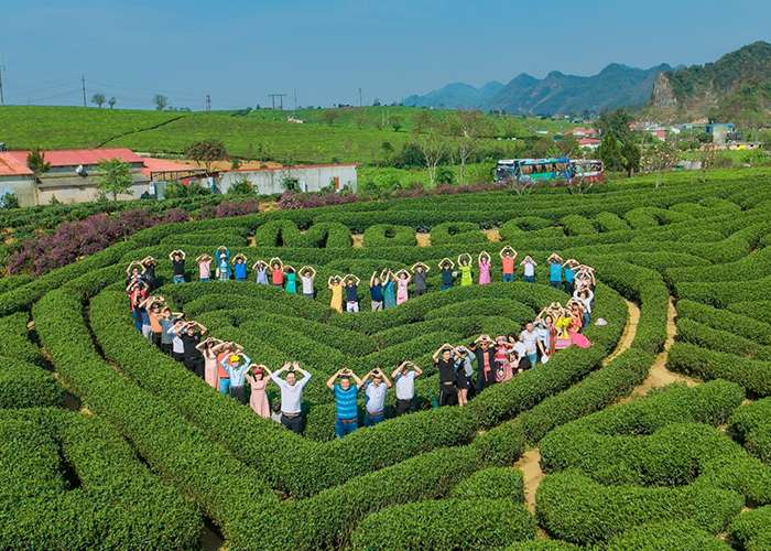 Tour Du Lịch Mộc Châu 2 Ngày 1 Đêm Từ Hà Nội