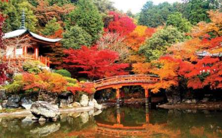 Du Lịch Nhật Bản Mùa Lá Đỏ 6 Ngày 5 Đêm Từ Hà Nội
