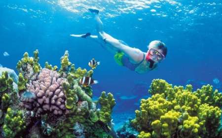 Tour Câu Cá - Lặn Ngắm San Hô Phú Quốc 1 Ngày