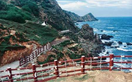 Tour Kỳ Co - Eo Gió - Trung Lương Quy Nhơn 1 Ngày