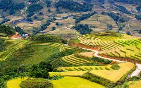 Tour Sapa - Fansipan dịp 2/9 từ Hà Nội trong 3 ngày 2 đêm