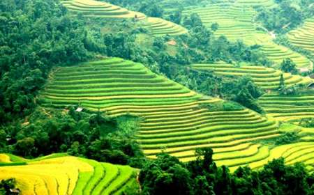 Du Lịch Sapa - Bản Cát Cát -Fansipan 2 Ngày 1 Đêm