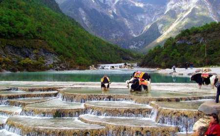 Tour Du Lịch Lệ Giang - Shangrila 5 Ngày 4 Đêm (Bay Thẳng Bamboo Airline)