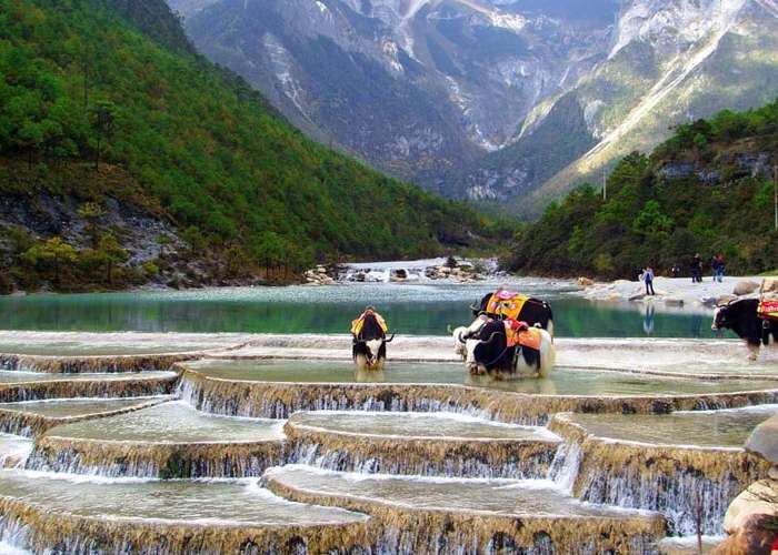 Tour Du Lịch Lệ Giang - Shangrila 5 Ngày 4 Đêm (Bay Thẳng Bamboo Airline)