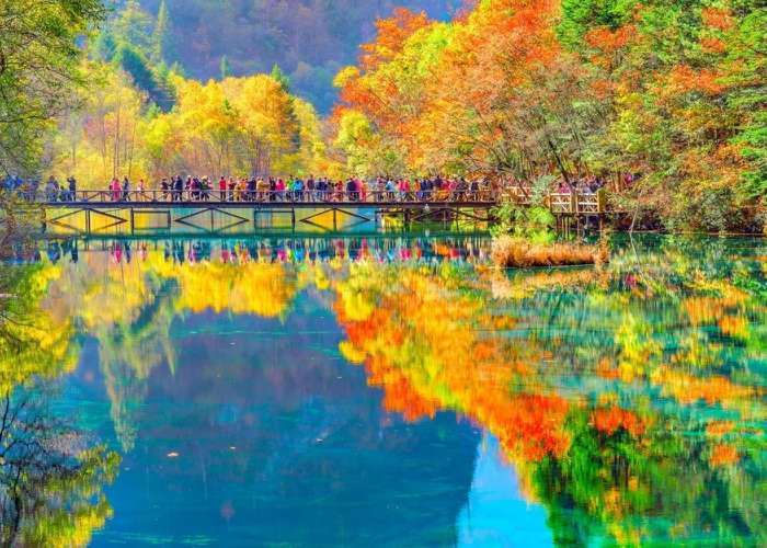 Tour Nga Mi Sơn – Cửu Trại Câu 5N4Đ | Công Viên Gấu Trúc – Vietnam Airlines