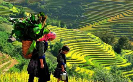 TOUR 2026 HÀ GIANG - LŨNG CÚ - SÔNG NHO QUẾ THÁC BẢN GIỐC - ĐỘNG NGƯỜM NGAO - PÁC BÓ - HỒ BA BỂ