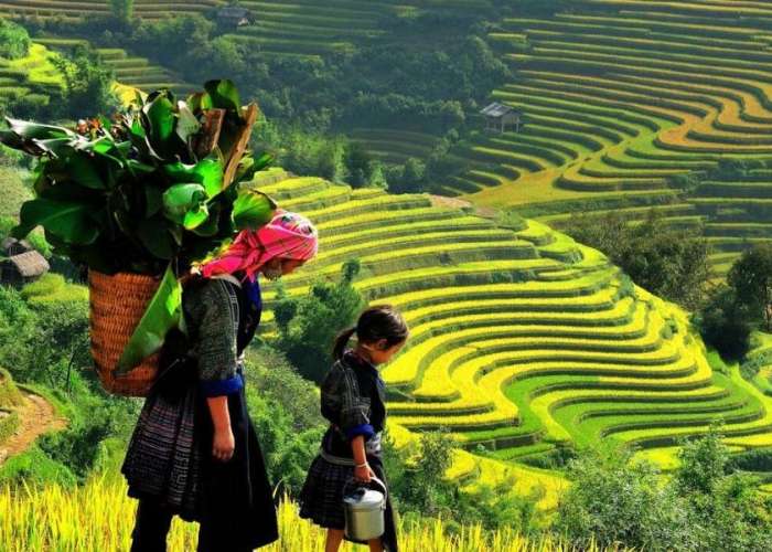 TOUR 2026 HÀ GIANG - LŨNG CÚ - SÔNG NHO QUẾ THÁC BẢN GIỐC - ĐỘNG NGƯỜM NGAO - PÁC BÓ - HỒ BA BỂ