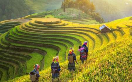 TOUR 2026 MÙ CANG CHẢI - SAPA - FANSIPAN LAI CHÂU - ĐIỆN BIÊN - MỘC CHÂU - MAI CHÂU