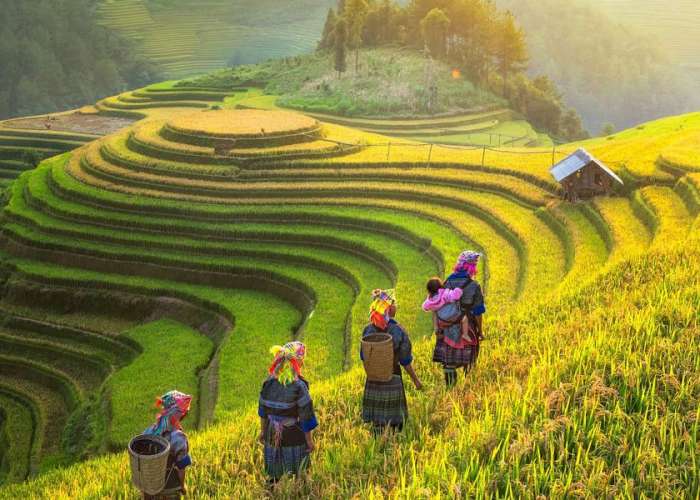 TOUR 2026 MÙ CANG CHẢI - SAPA - FANSIPAN LAI CHÂU - ĐIỆN BIÊN - MỘC CHÂU - MAI CHÂU
