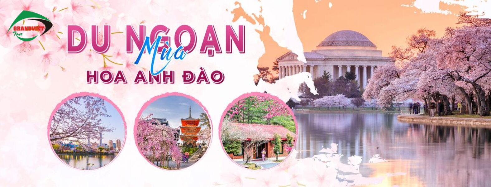 Tour Nhật Bản 2026