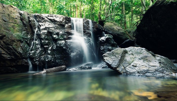 suoi tranh phu quoc