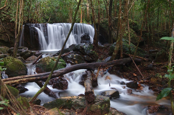 suoi-tranh