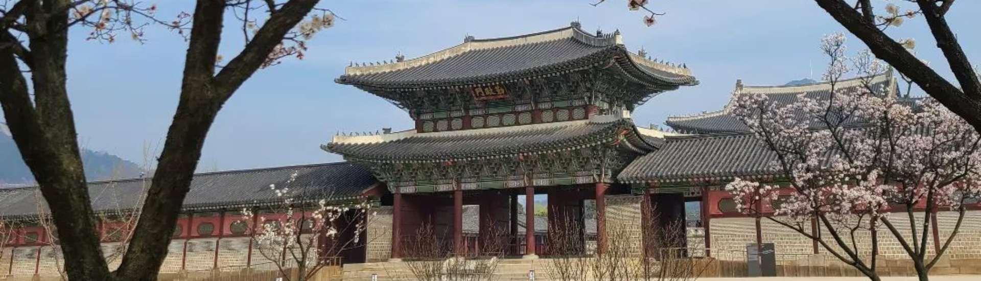 Tour Du Lịch Hàn Quốc Mùa Hoa Anh Đào 5N4Đ: Seoul - Yeouido - Everland - Nami
